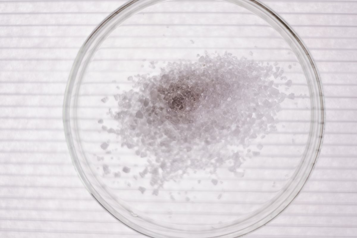 Salt crystals arranged in a shallow petri dish photographed from above, the kind of side-by-side grade comparison that shows how much insoluble residue a salt leaves behind
