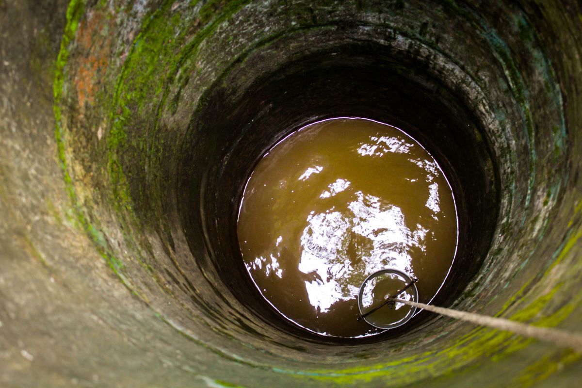 Looking down a shallow well at murky brown water, with slime and green growth on the damp lining above the waterline