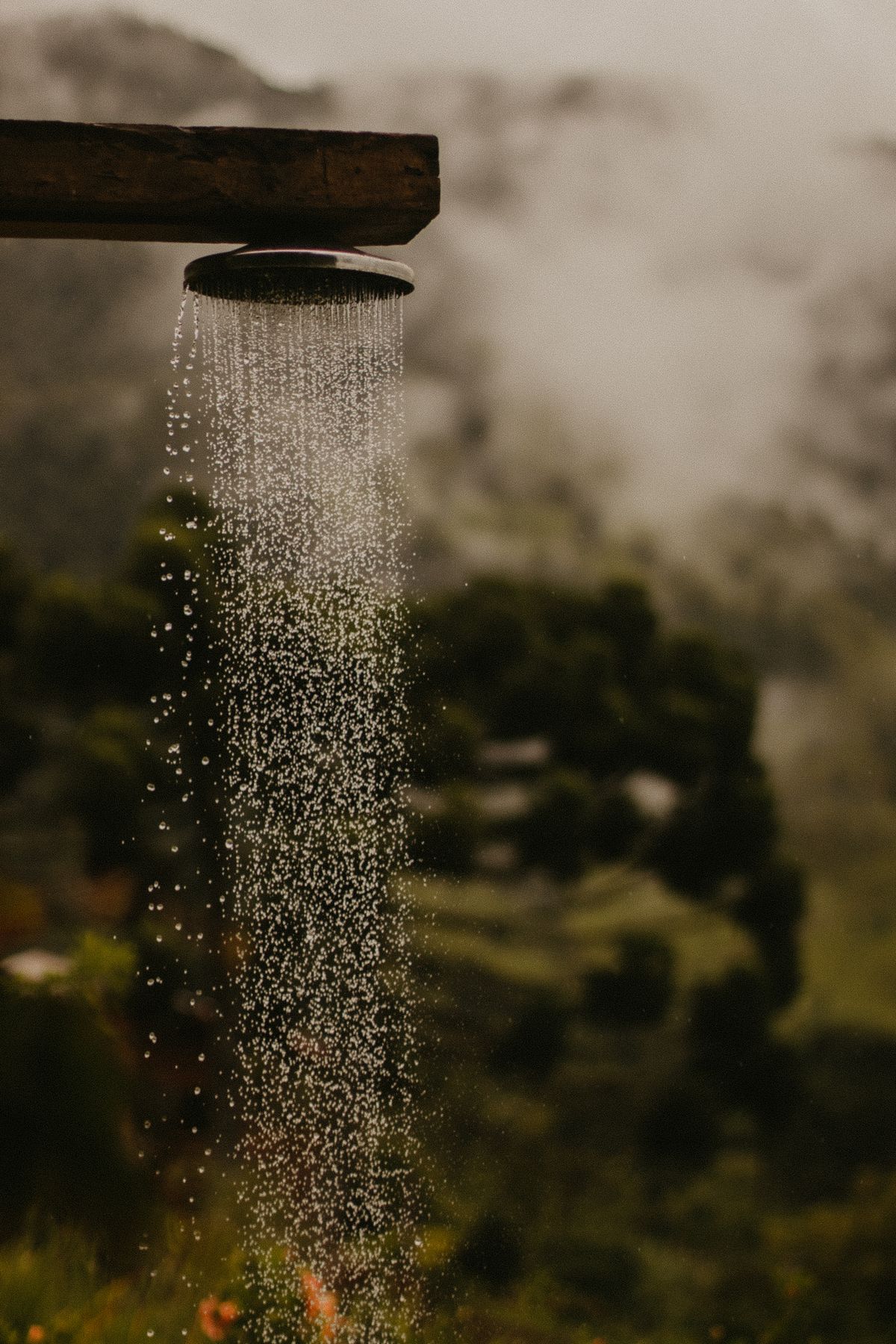 Round shower head running with a steady spray of water, the long hot draw best avoided while a softener regenerates