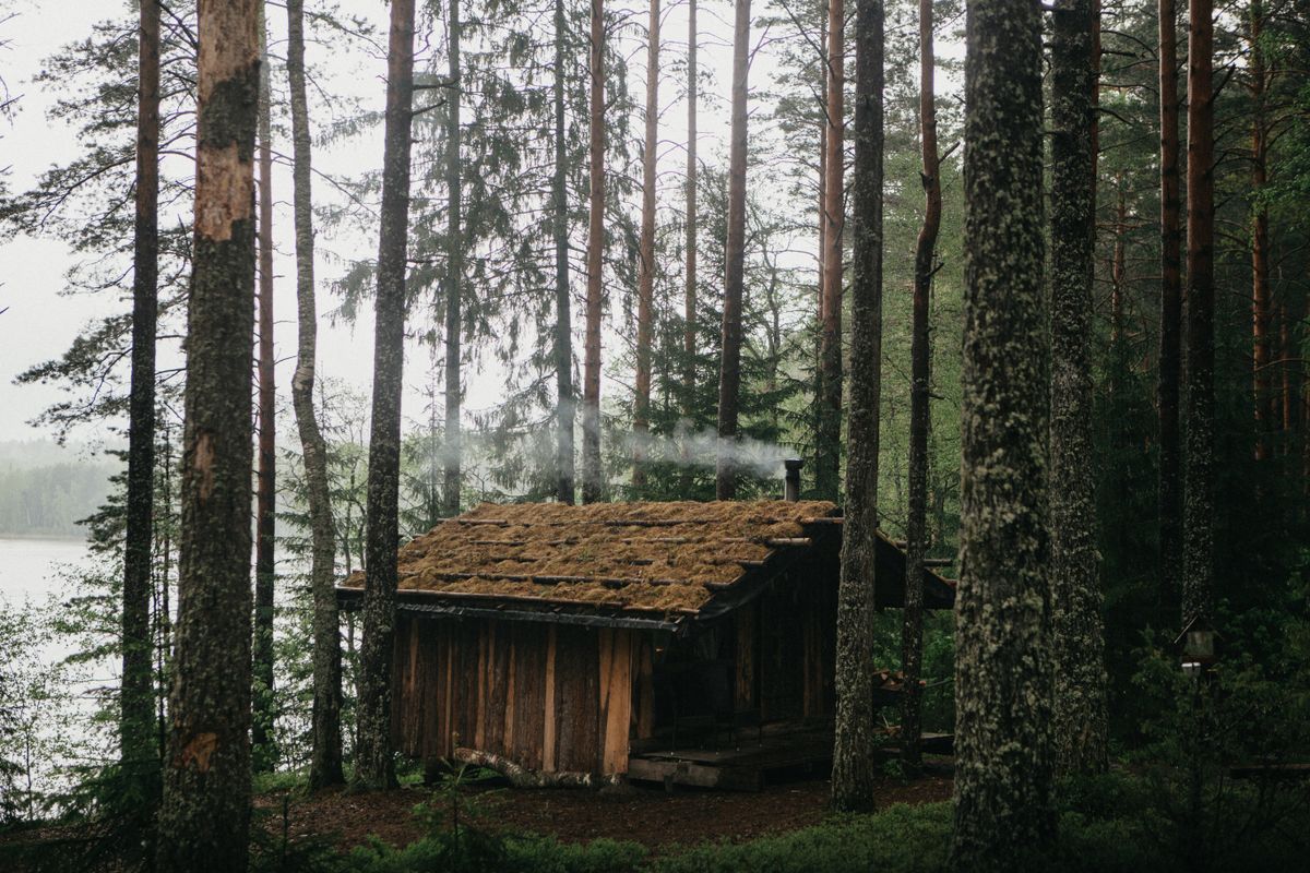 Wooden cabin with a moss-covered roof among tall pines beside a lake, smoke rising from its chimney