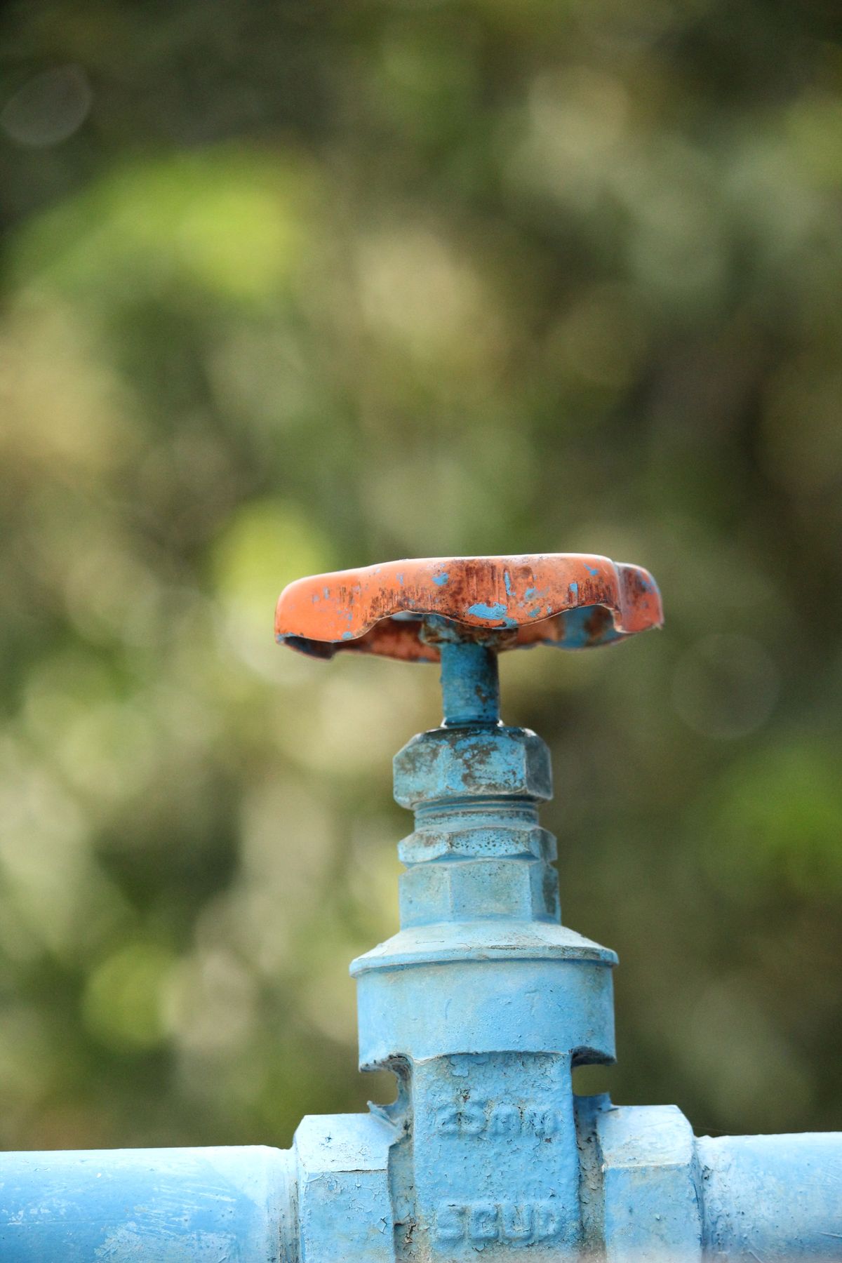 Rustic outdoor water valve with a blurred green background, the kind of main shutoff that must be confirmed fully open when a house has no water after a softener install
