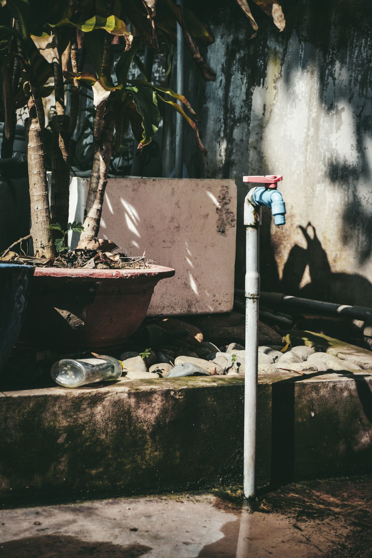 Outdoor garden tap on a sunlit wall, often the only untreated water point in a house with a softener
