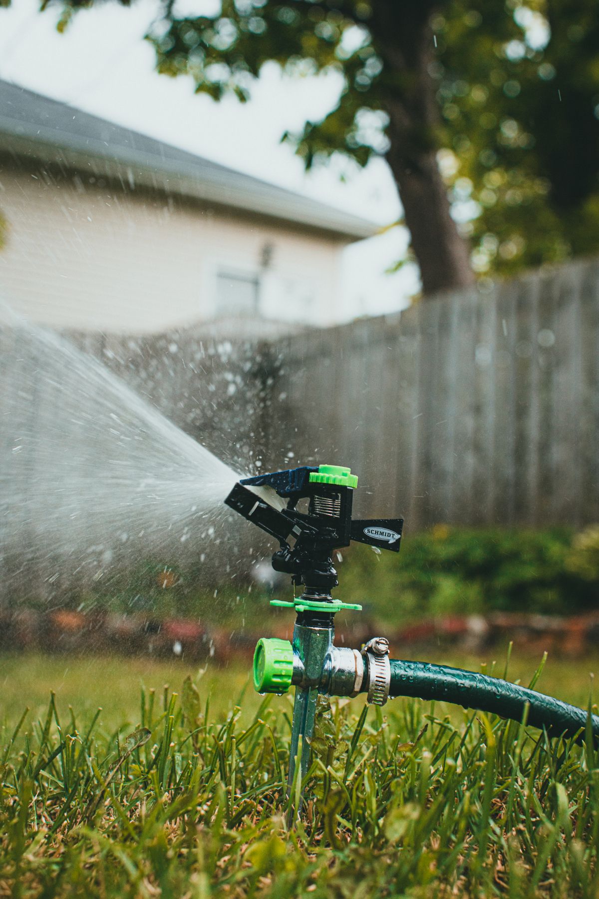 Impact sprinkler on a garden hose watering a backyard lawn beside a wooden fence and house