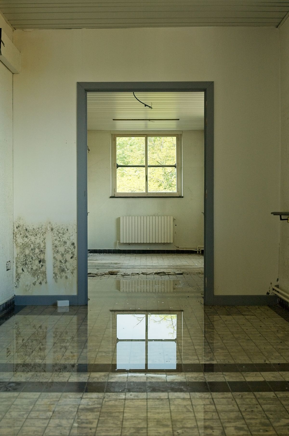 Flooded interior room with standing water reflecting the window and damp staining on the lower walls, the waterline that decides which softener components were submerged