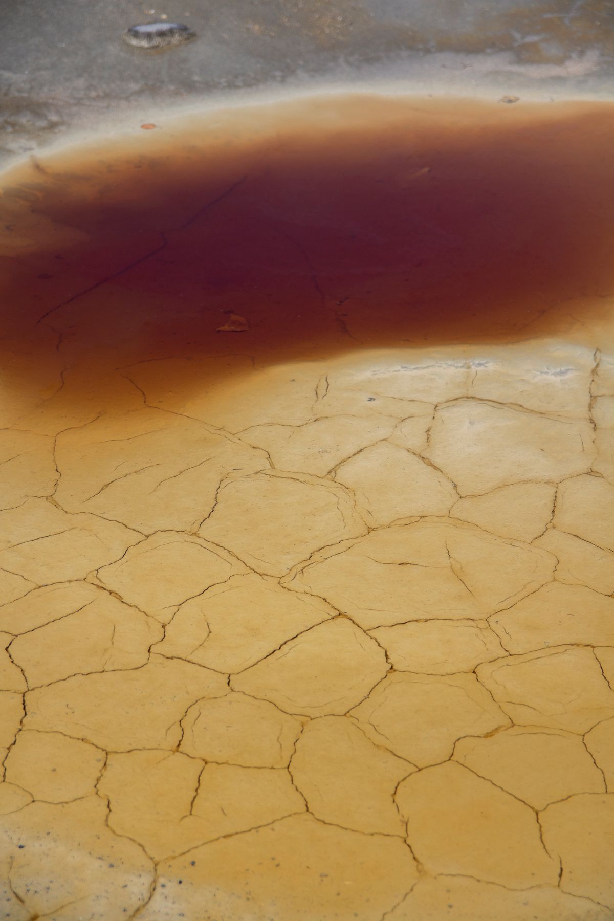 Rust-red iron-stained water pooled over cracked orange sediment, the oxidized iron that no softener salt additive can dissolve back into exchangeable form