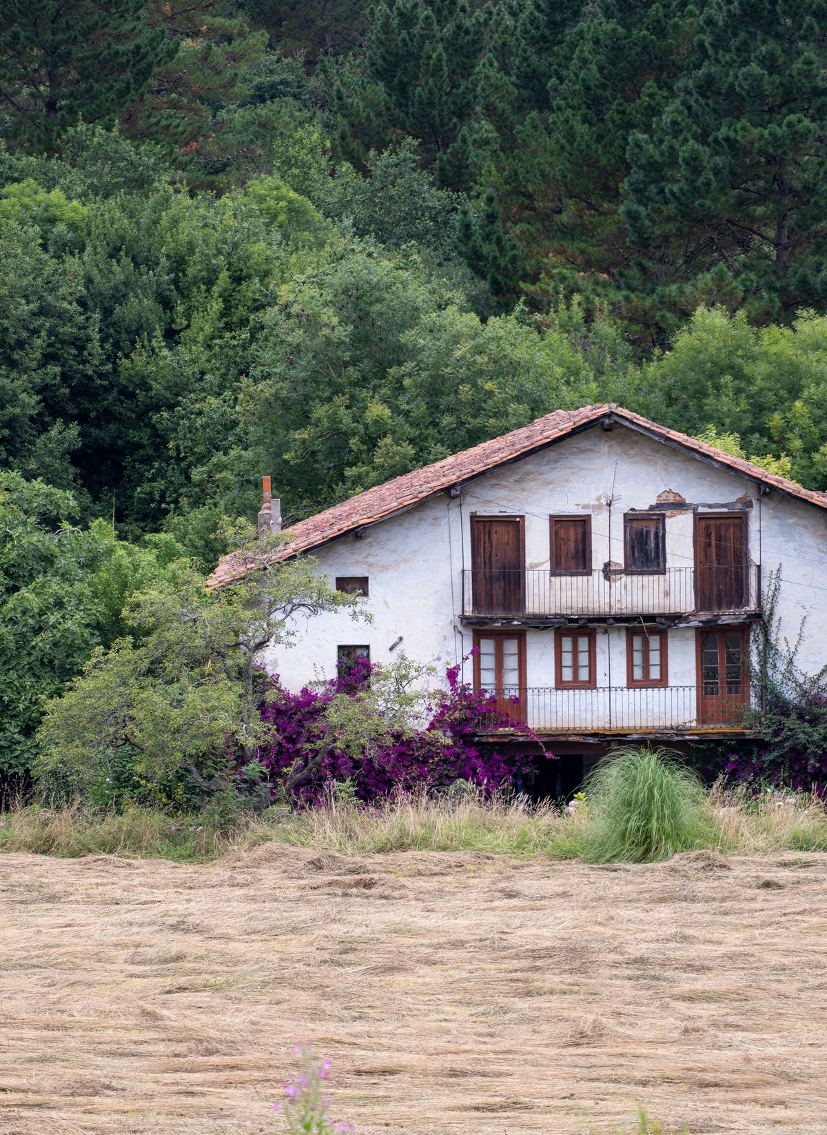 Farmhouse standing alone in a field, served by its own private well, where the pump's sustained output decides which air injection iron filter can backwash