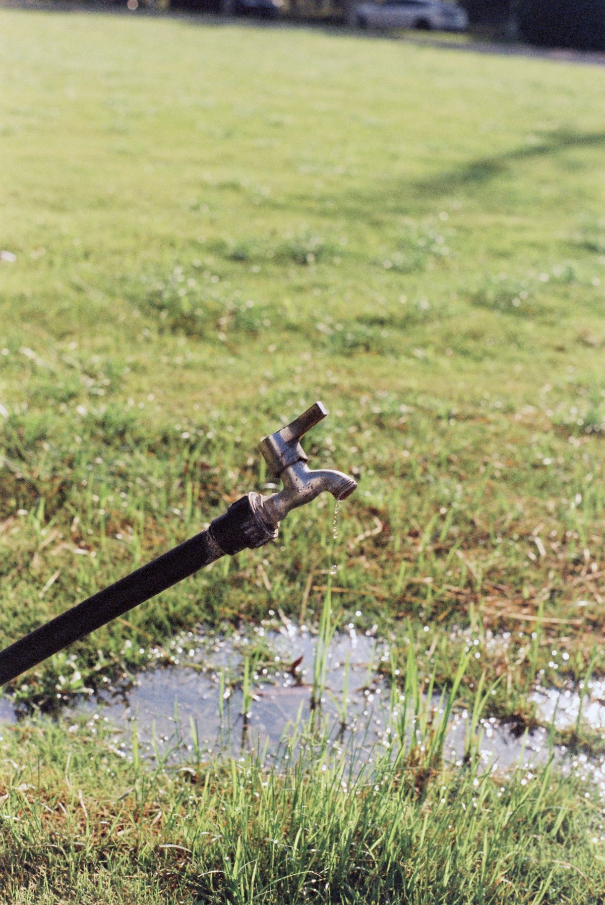 Outdoor faucet in a grassy garden with water pooling below, the branch most installers intentionally leave unsoftened