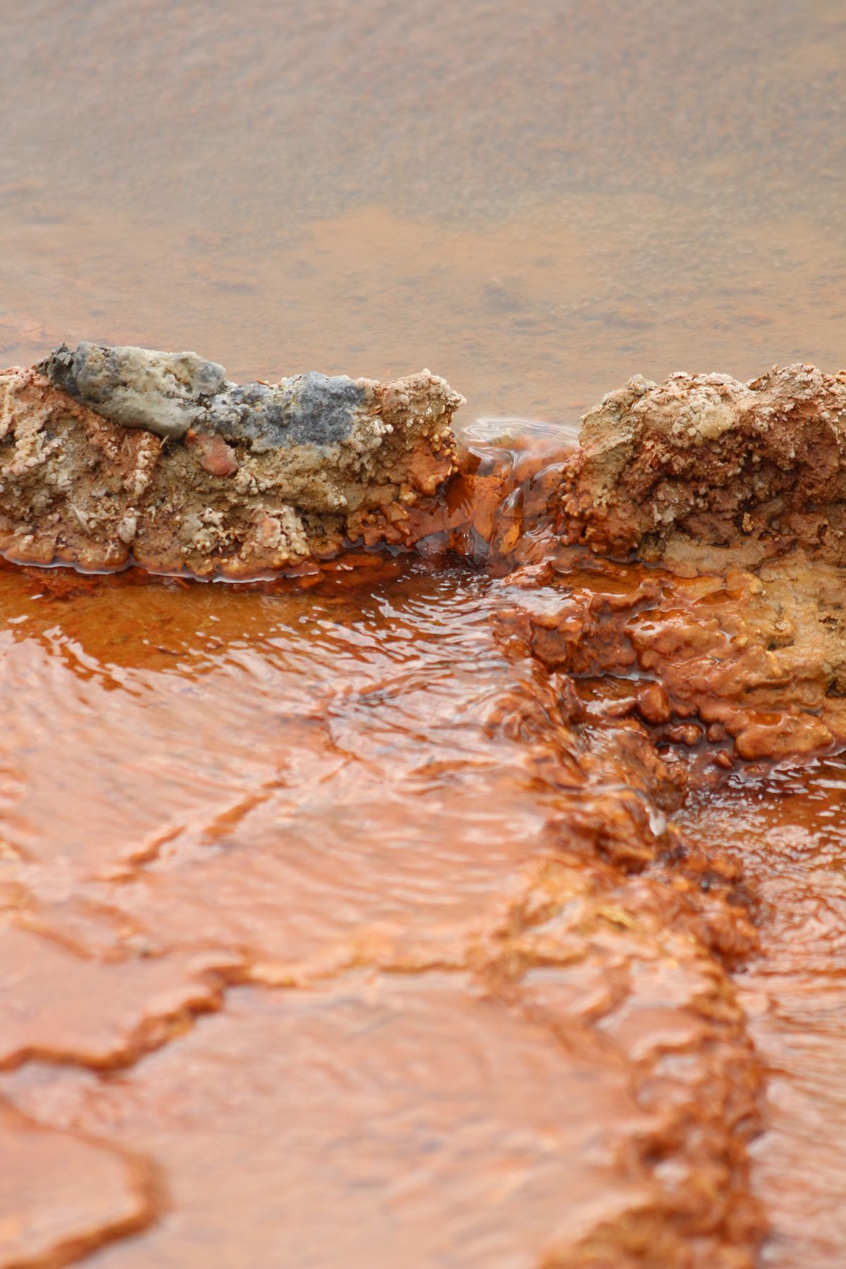 Rust-orange iron deposits built up on rock where iron-rich water flows over it, the orange residue that also coats wells with iron bacteria