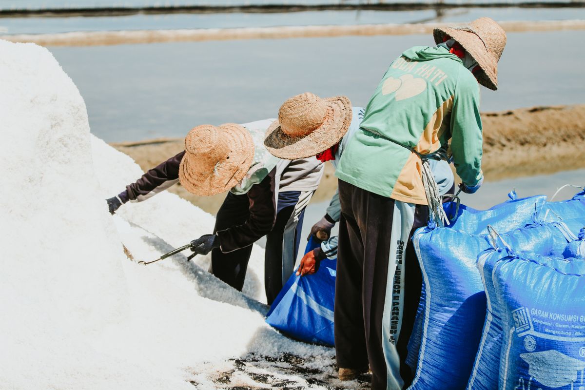 Salt workers shovelling white salt from a large pile into blue sacks, the raw material a Morton or Whirlpool water softener uses up every year