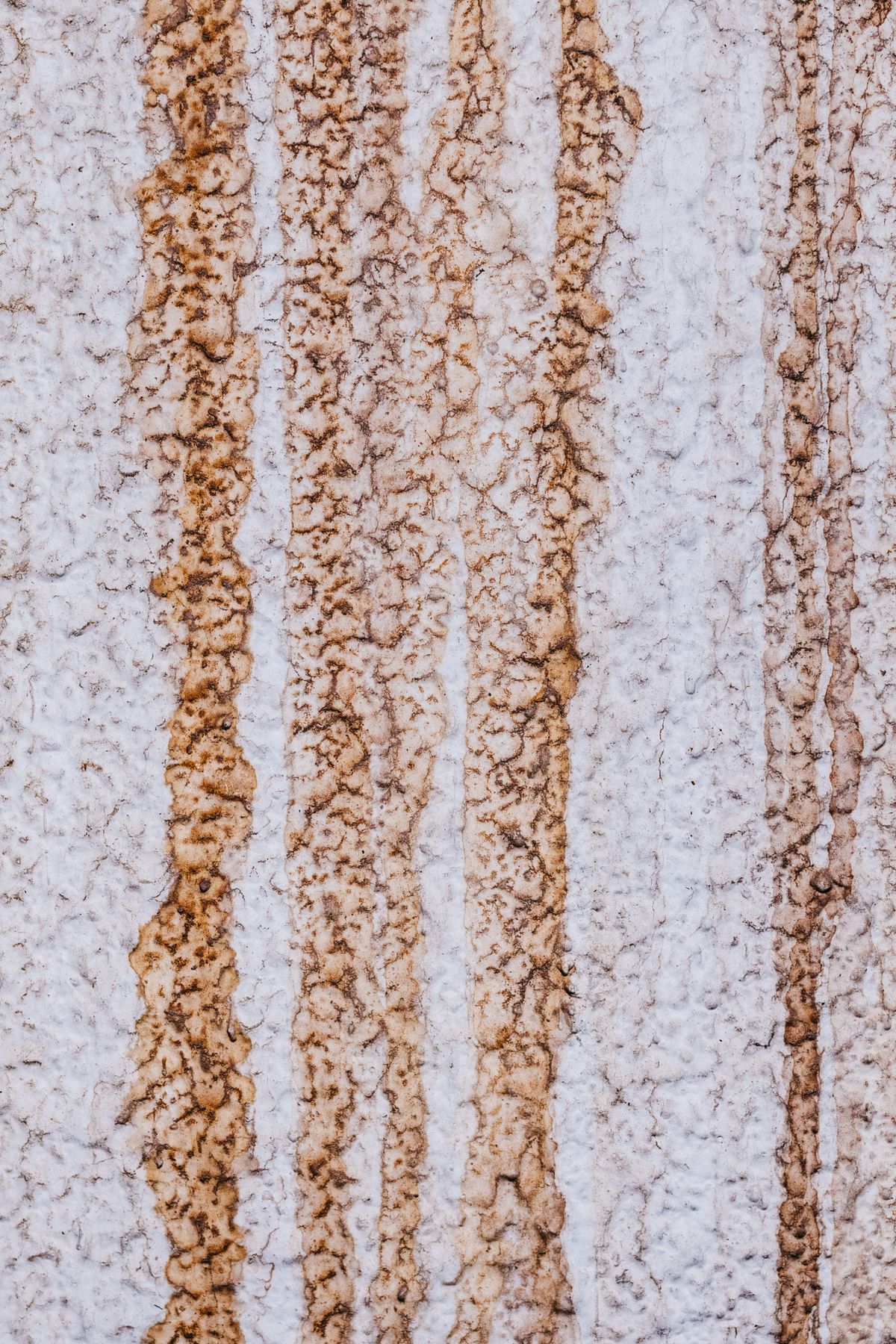 Rust patterns spreading across a textured wall surface, the same iron oxide staining that accumulates on softener resin beads