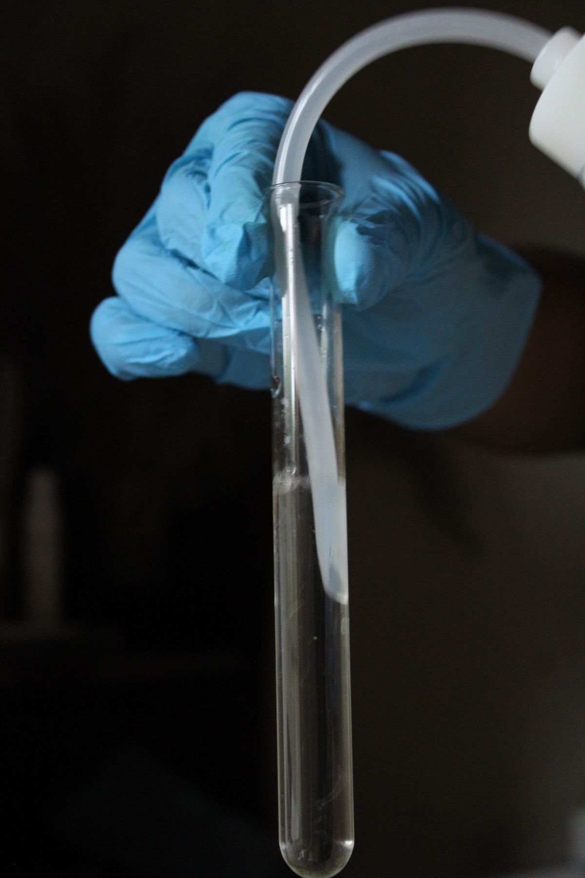 Gloved hand filling a glass test tube with a clear water sample, a lab bacteria test that should come before choosing a UV system for a private well
