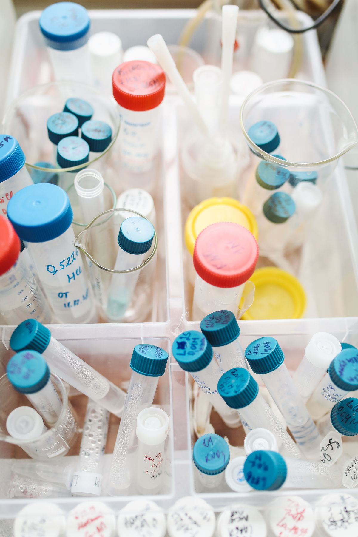 Rows of labelled, capped laboratory test tubes holding water samples awaiting analysis