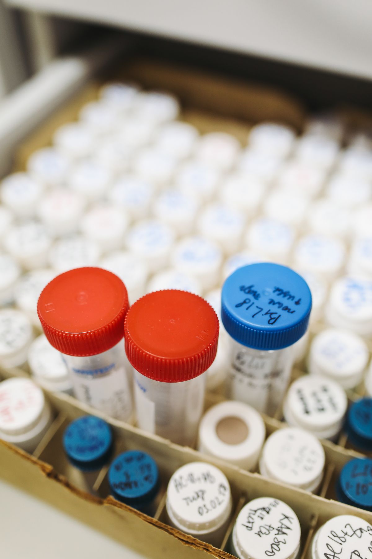 Labelled sample tubes with red and blue caps in a laboratory tray awaiting analysis, the step that puts a number on manganese
