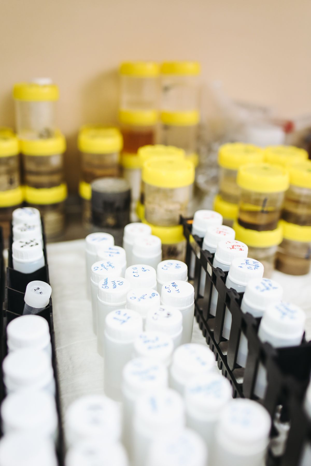 Rows of capped and labelled water sample bottles in a laboratory, which must be filled exactly as the lab instructs