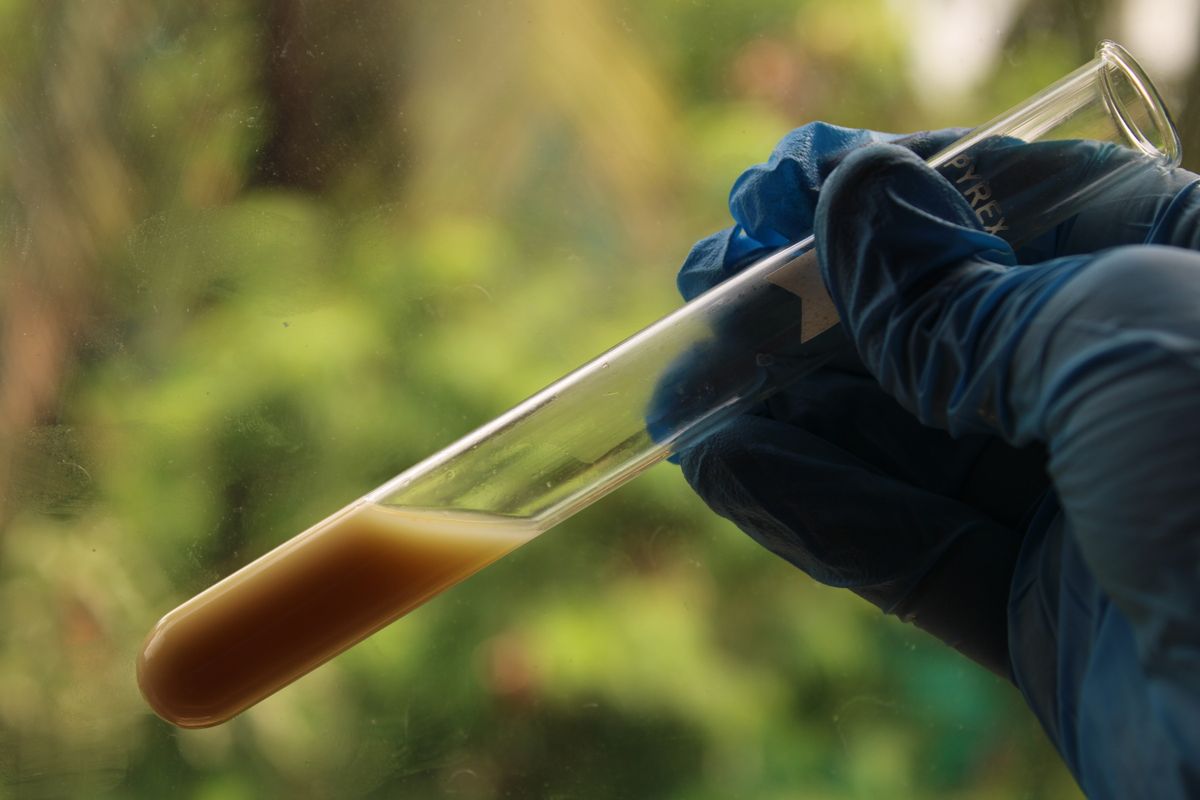 Gloved hand holding a test tube of collected water sample outdoors for certified laboratory analysis