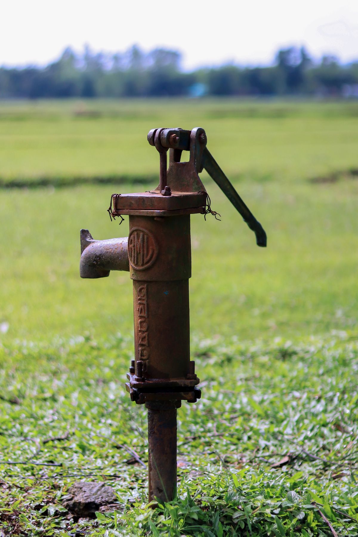 Hand pump in a green field, illustrating a shallow well that responds quickly to seasonal recharge