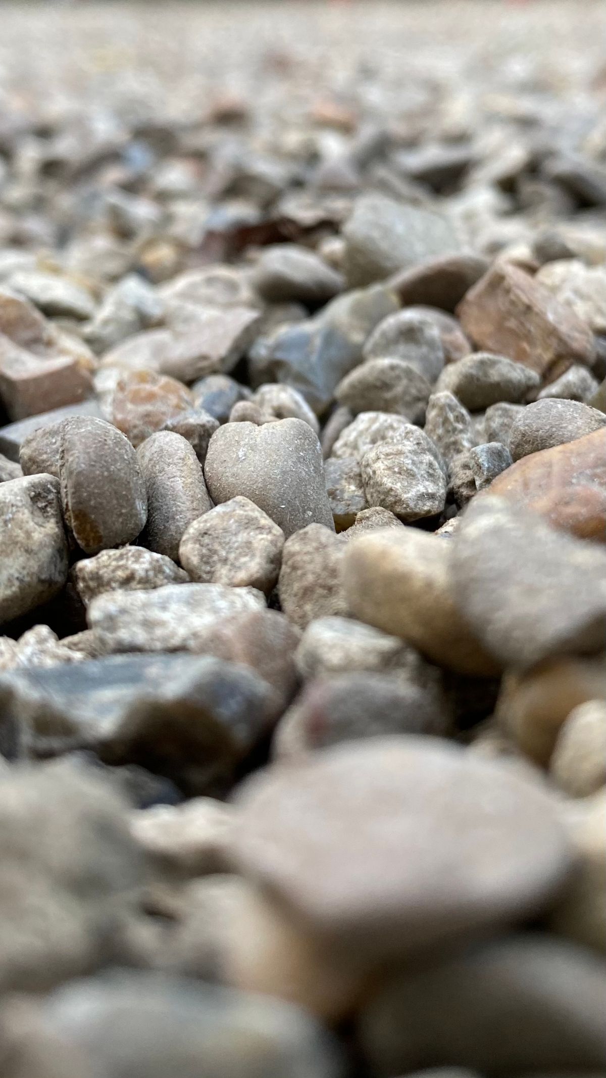 Macro photo of small mixed gravel stones, the kind of graded underbedding some softener tanks carry beneath the resin around the bottom basket
