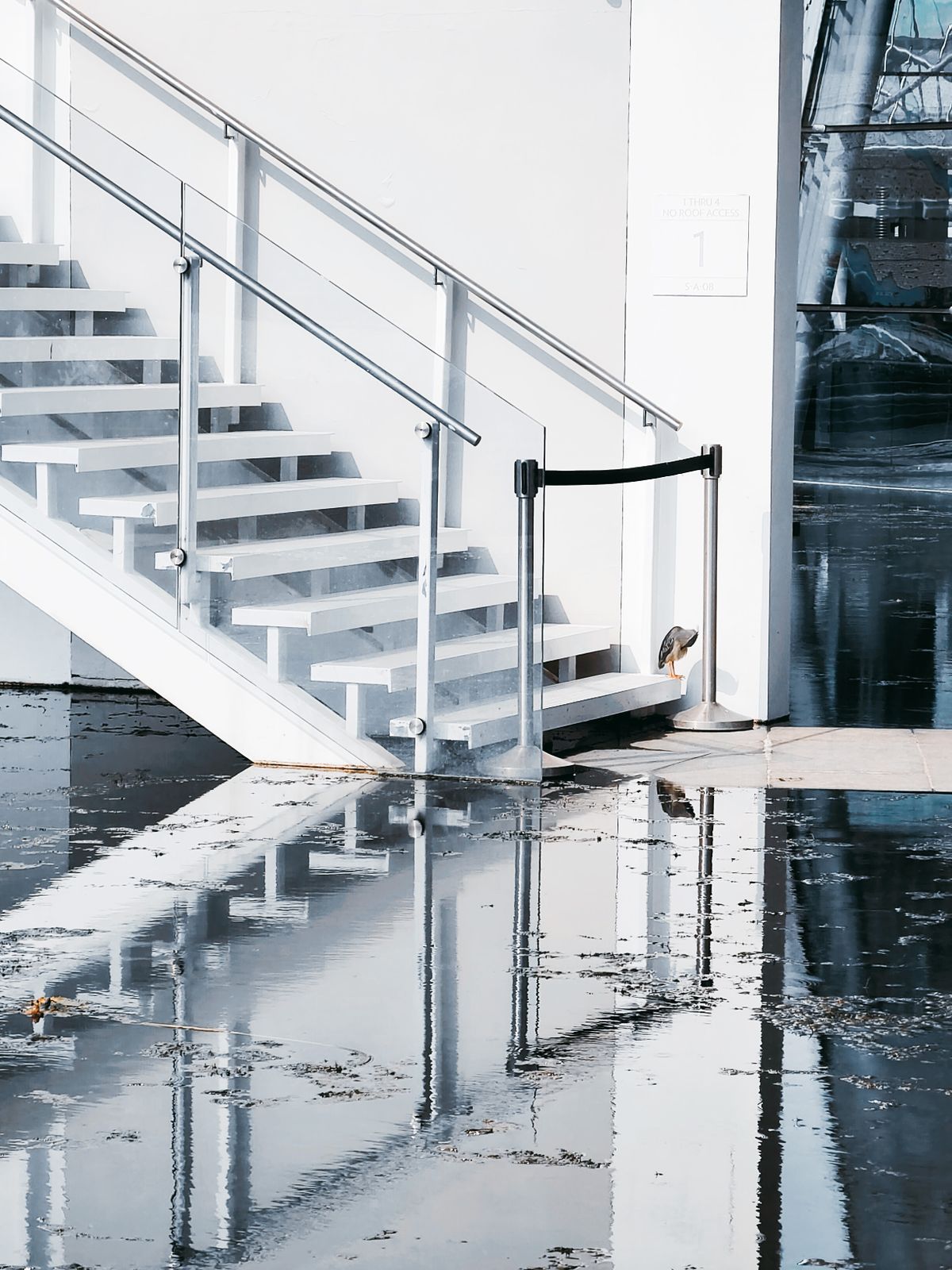Flood water pooled across a concrete floor at the foot of a staircase, the basement damage that an annual softener inspection is designed to prevent