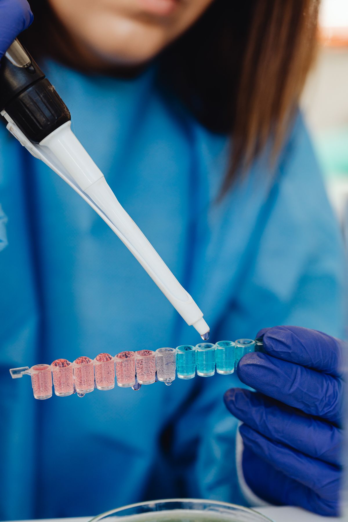 Lab technician pipetting water samples into a strip of vials, where the choice of test method and reporting unit can change a hardness result