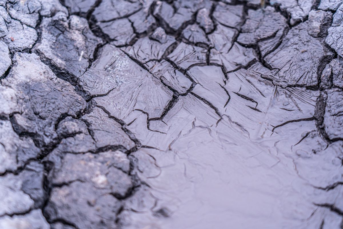 Dried, cracked mud with water pooled in the fissures, the compacted and recrystallised appearance of a mushed layer at the bottom of a brine tank