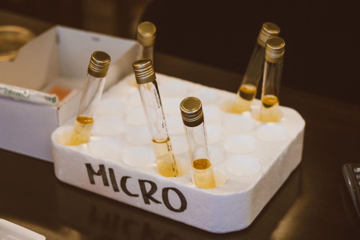 Sample tubes held in a rack labelled MICRO, the kind of microbiology sample that confirms a sanitized softener is safe to return to drinking-water service