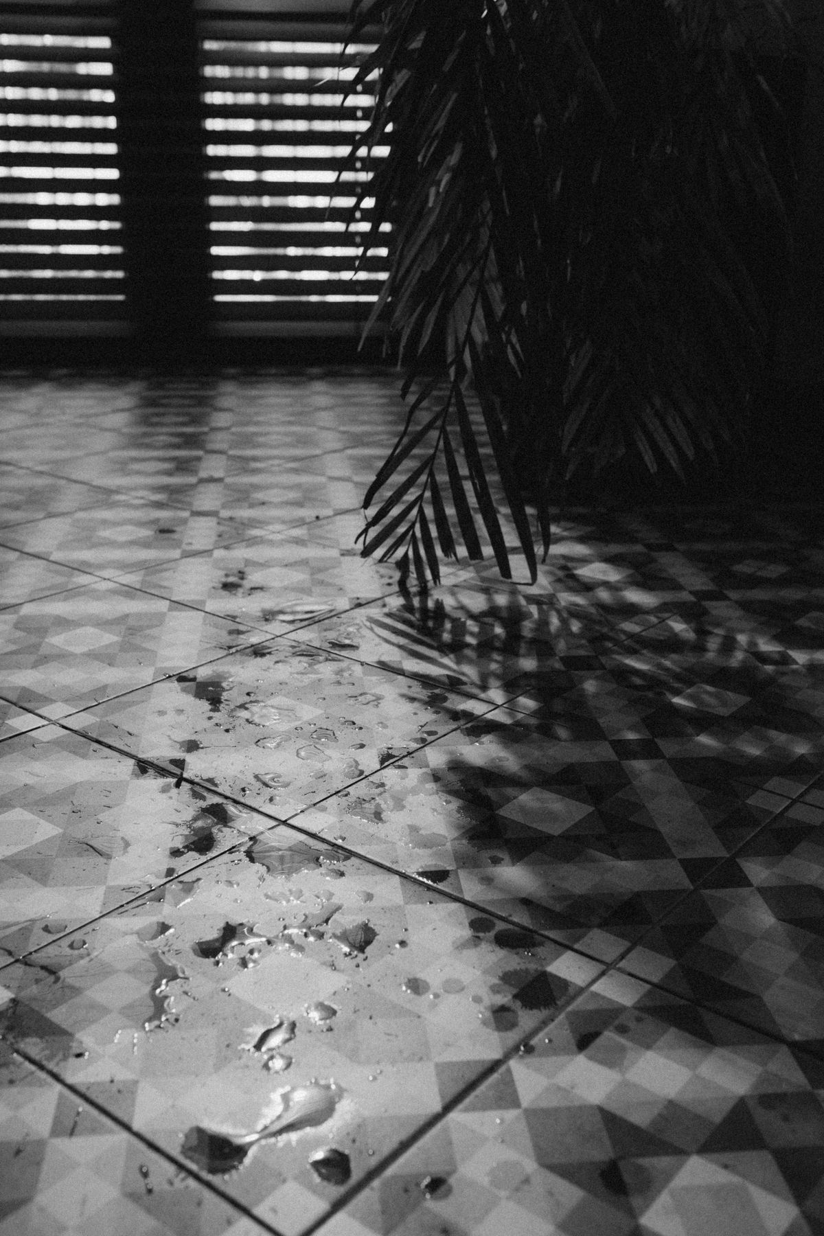 Water spilled across a tiled floor with light and shadow falling on it, the first thing to deal with when a brine tank overflows before any diagnosis begins